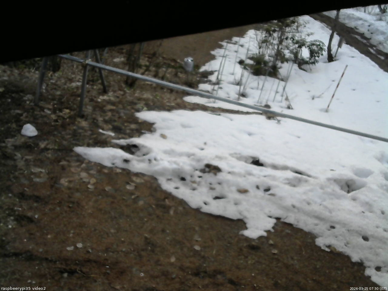 長野県菅平高原 ゆたか山荘 駐車場 2026/03/25 07:30