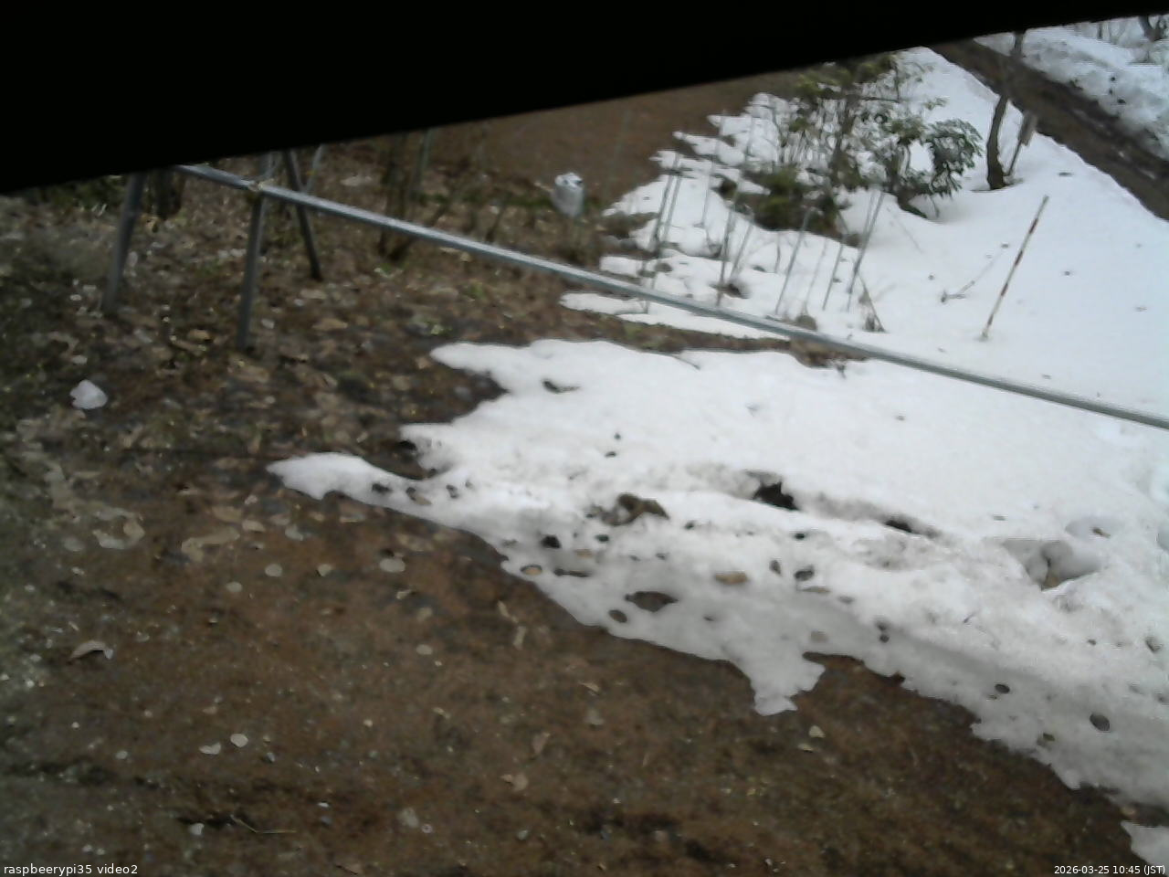 長野県菅平高原 ゆたか山荘 駐車場 2026/03/25 10:45