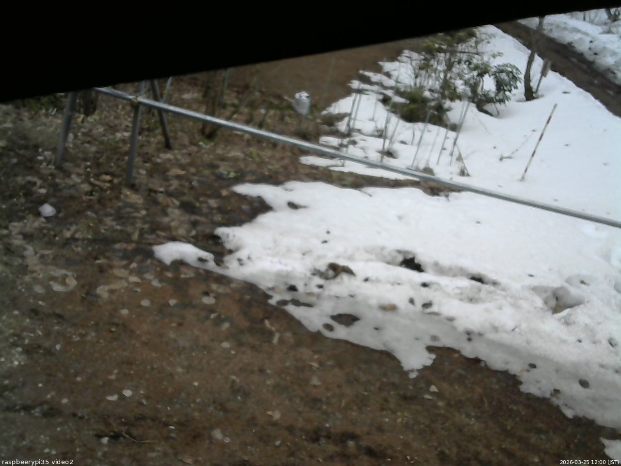 長野県菅平高原 ゆたか山荘 駐車場 2026/03/25 12:00