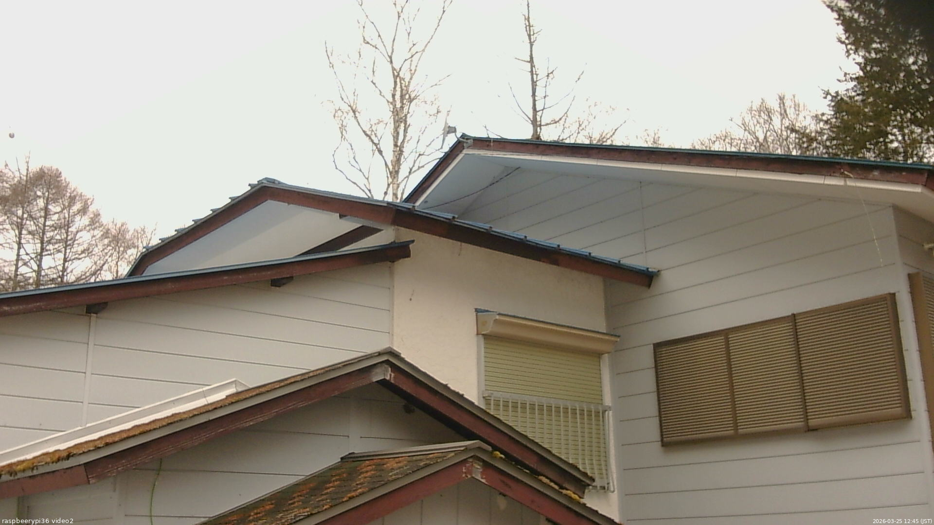 長野県菅平高原 ゆたか山荘 駐車場奥 2026/03/25 12:45