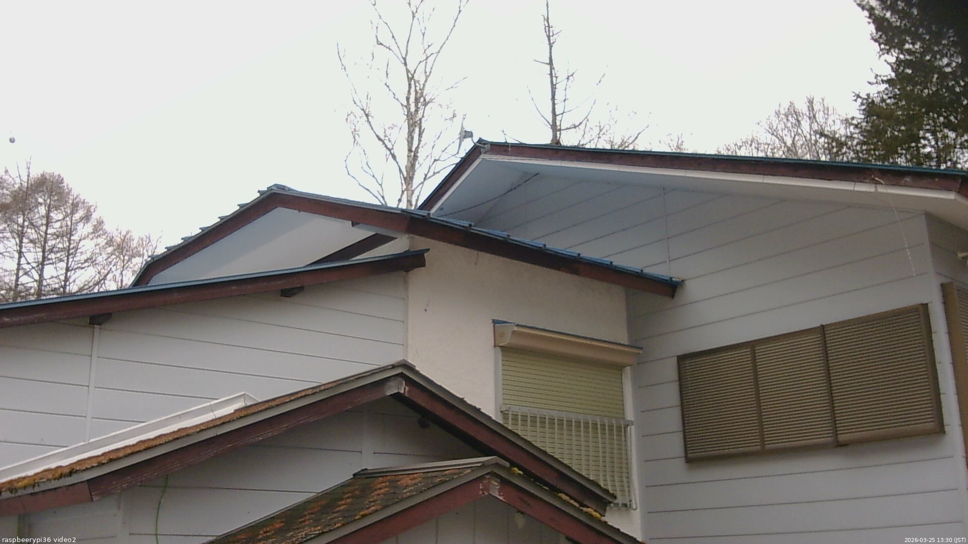 長野県菅平高原 ゆたか山荘 駐車場奥 2026/03/25 13:30