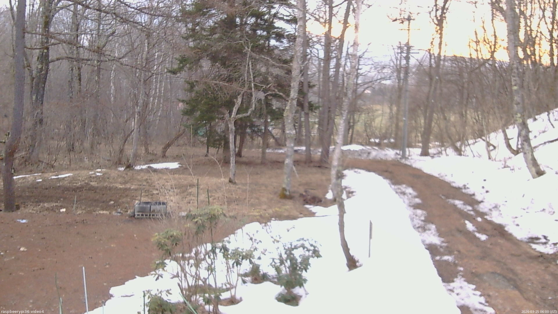 長野県菅平高原 ゆたか山荘 坂上 2026/03/25 06:00