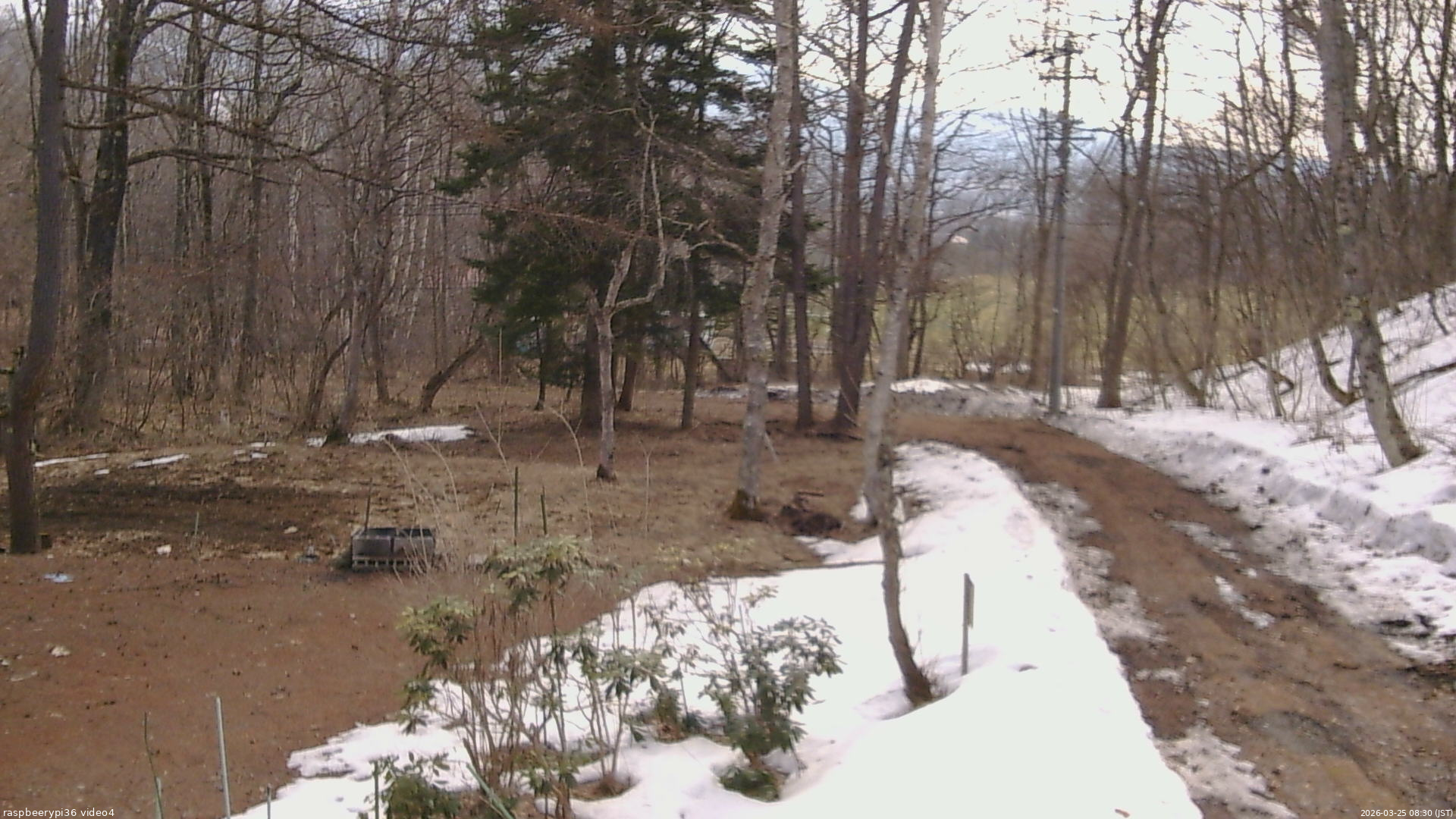 長野県菅平高原 ゆたか山荘 坂上 2026/03/25 08:30