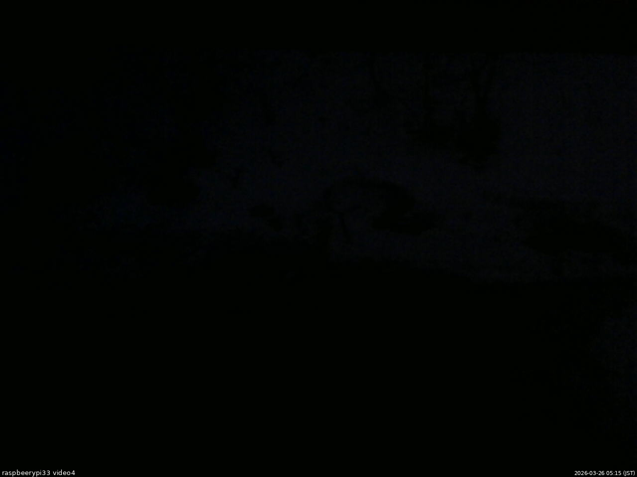 長野県菅平高原 ゆたか山荘 東側(坂下) 2026/03/26 05:15