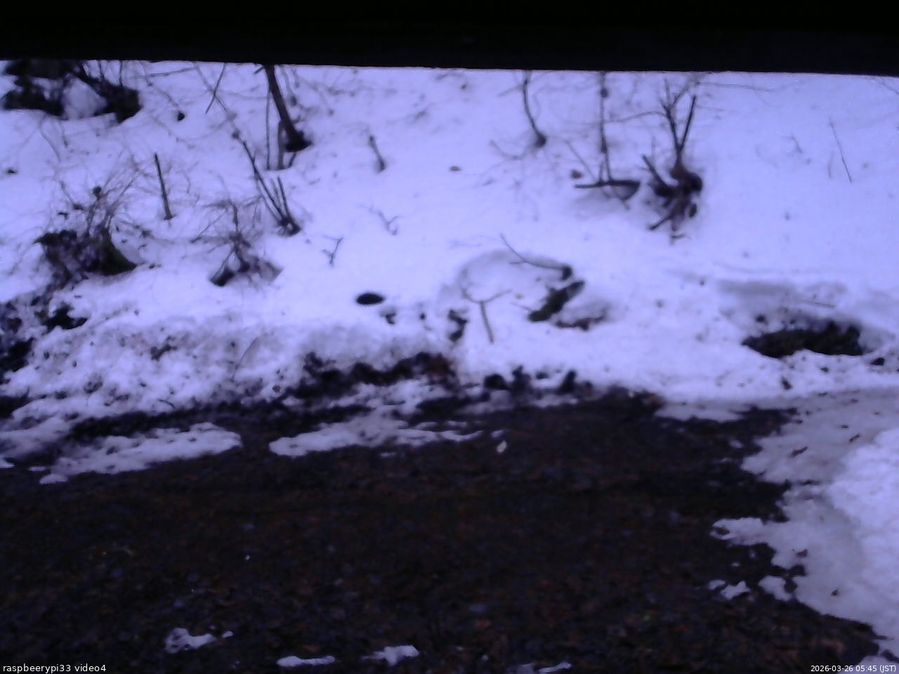 長野県菅平高原 ゆたか山荘 東側(坂下) 2026/03/26 05:45