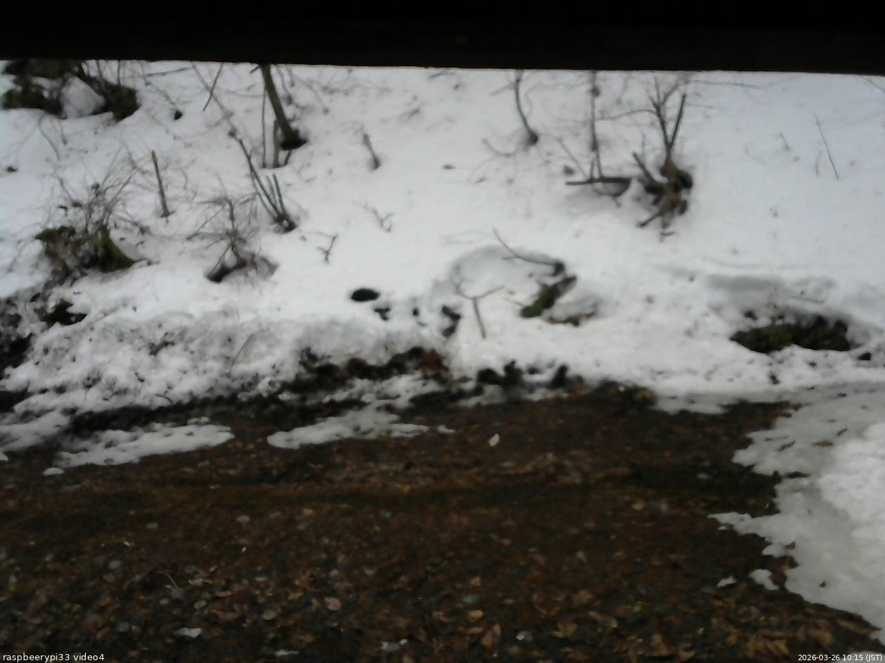 長野県菅平高原 ゆたか山荘 東側(坂下) 2026/03/26 10:15
