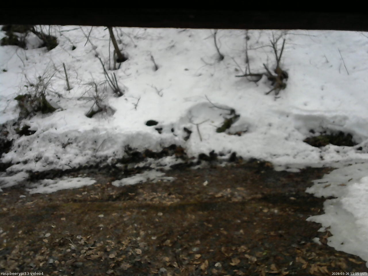 長野県菅平高原 ゆたか山荘 東側(坂下) 2026/03/26 11:15