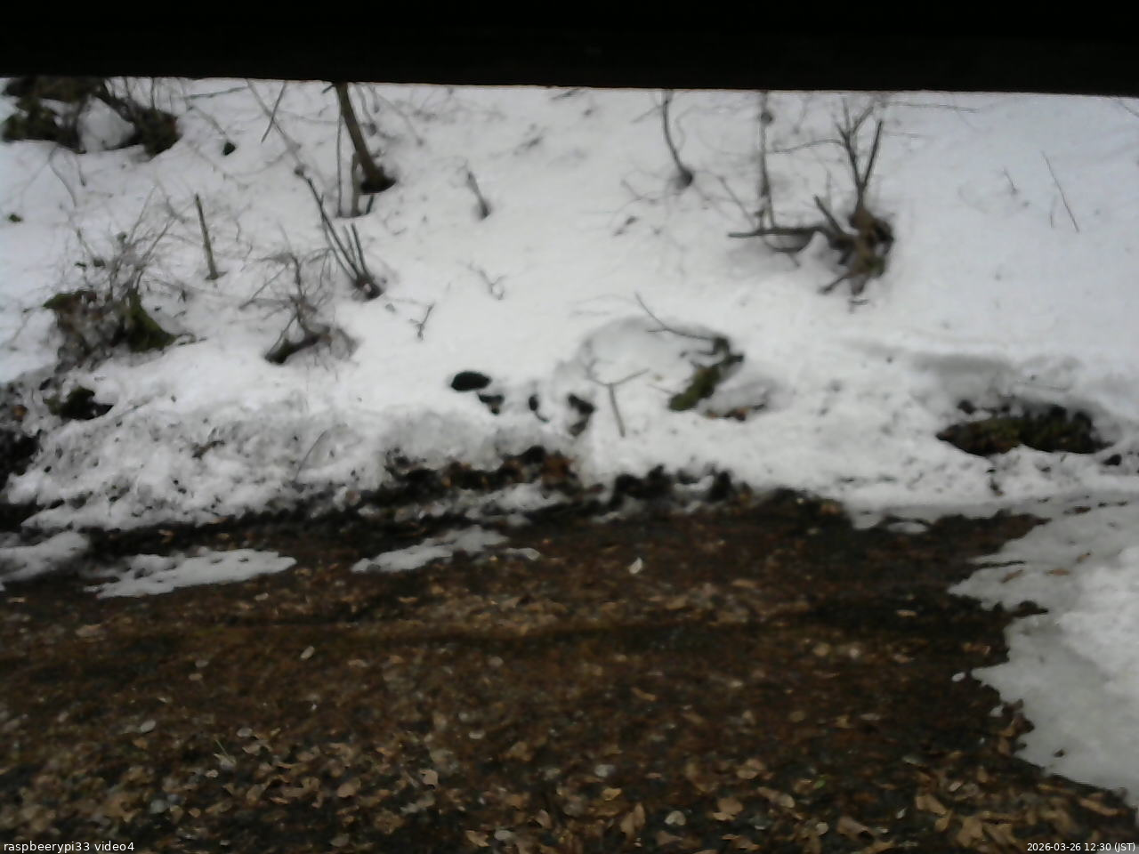 長野県菅平高原 ゆたか山荘 東側(坂下) 2026/03/26 12:30