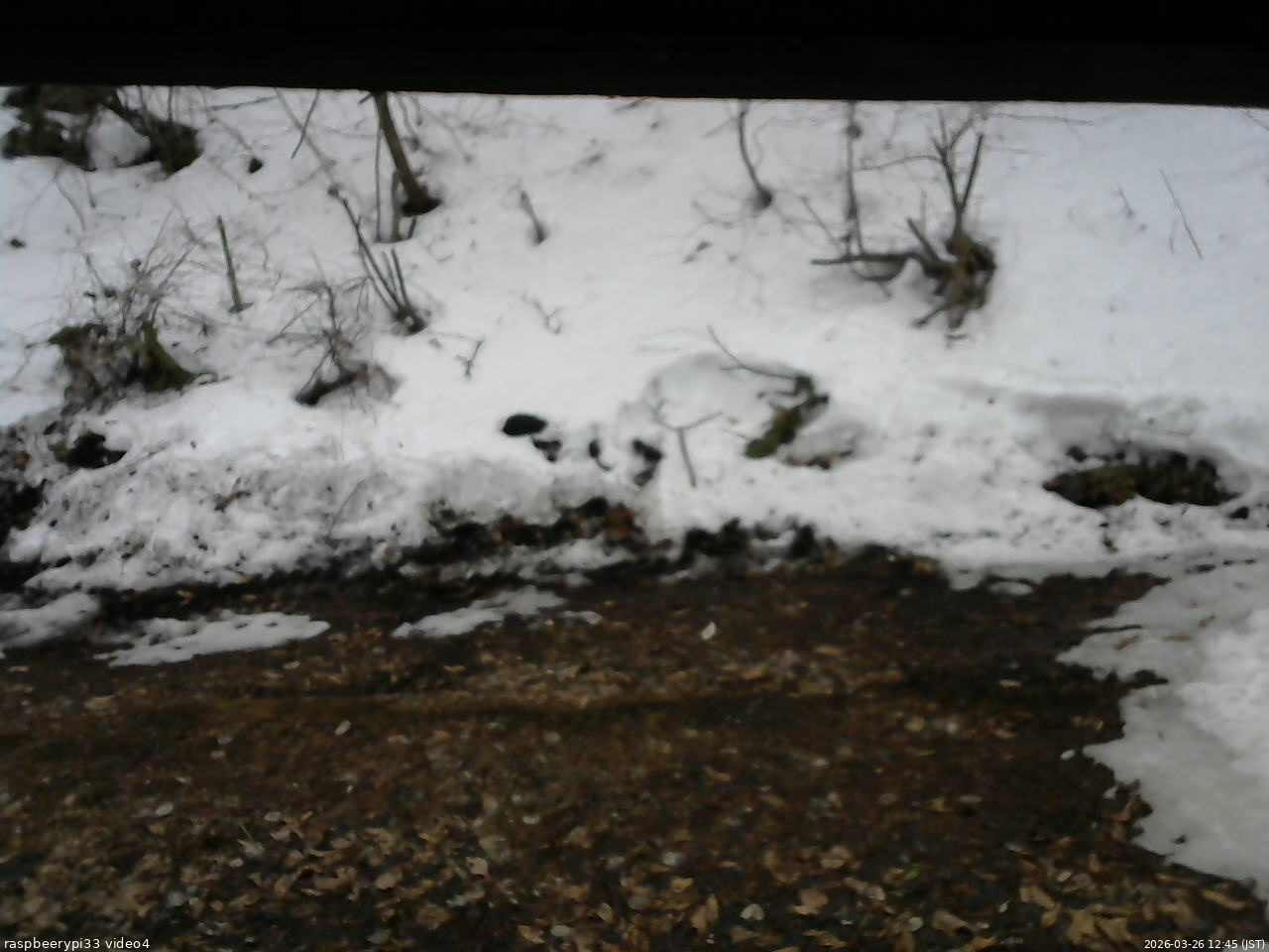 長野県菅平高原 ゆたか山荘 東側(坂下) 2026/03/26 12:45