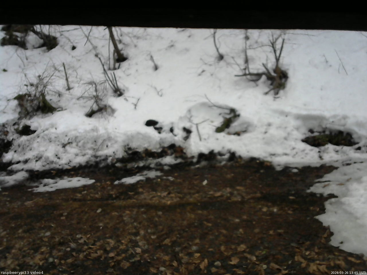 長野県菅平高原 ゆたか山荘 東側(坂下) 2026/03/26 13:45