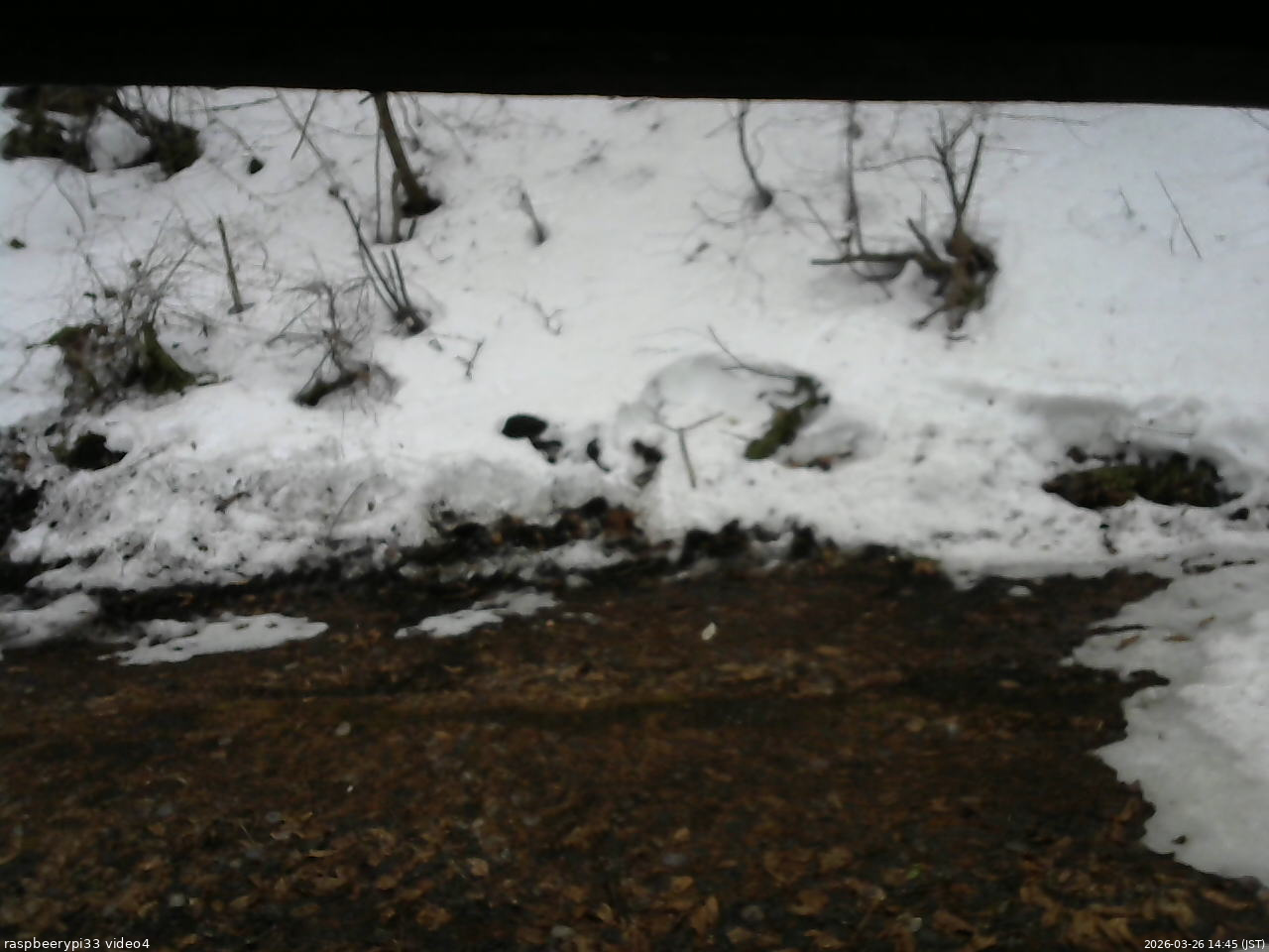 長野県菅平高原 ゆたか山荘 東側(坂下) 2026/03/26 14:45