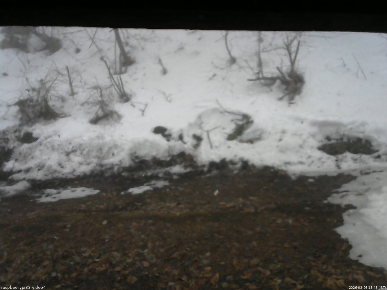 長野県菅平高原 ゆたか山荘 東側(坂下) 2026/03/26 15:45