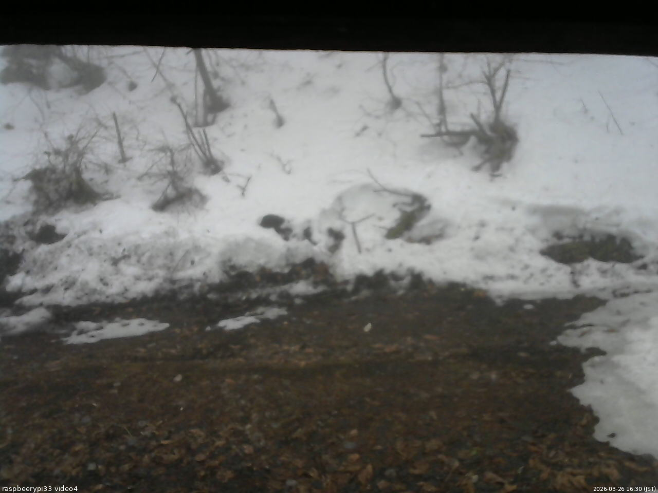長野県菅平高原 ゆたか山荘 東側(坂下) 2026/03/26 16:30