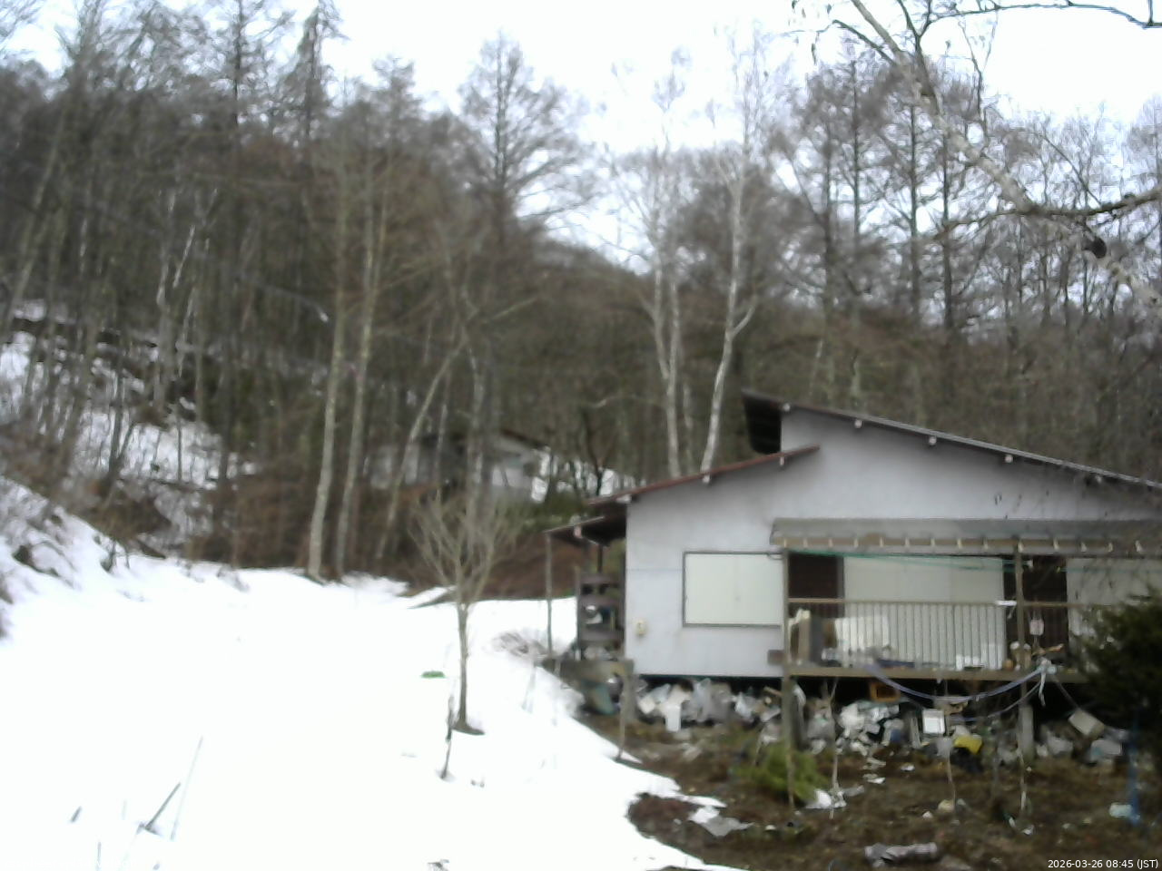長野県菅平高原 ゆたか山荘 西側(坂上) 2026/03/26 08:45