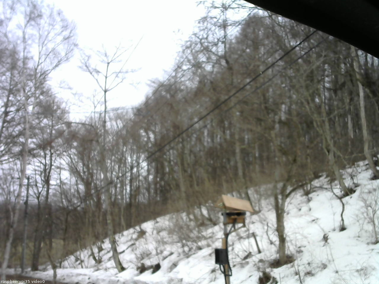 長野県菅平高原 ゆたか山荘 温度計 2026/03/26 10:45