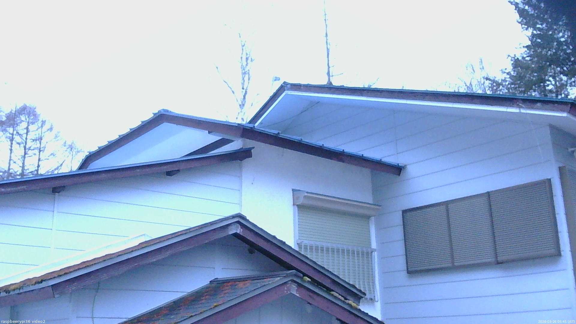 長野県菅平高原 ゆたか山荘 駐車場奥 2026/03/26 05:45