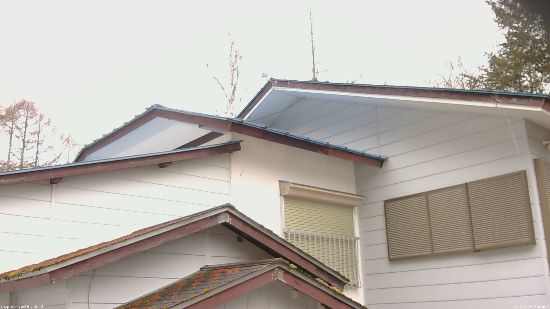 長野県菅平高原 ゆたか山荘 駐車場奥 2026/03/26 07:30