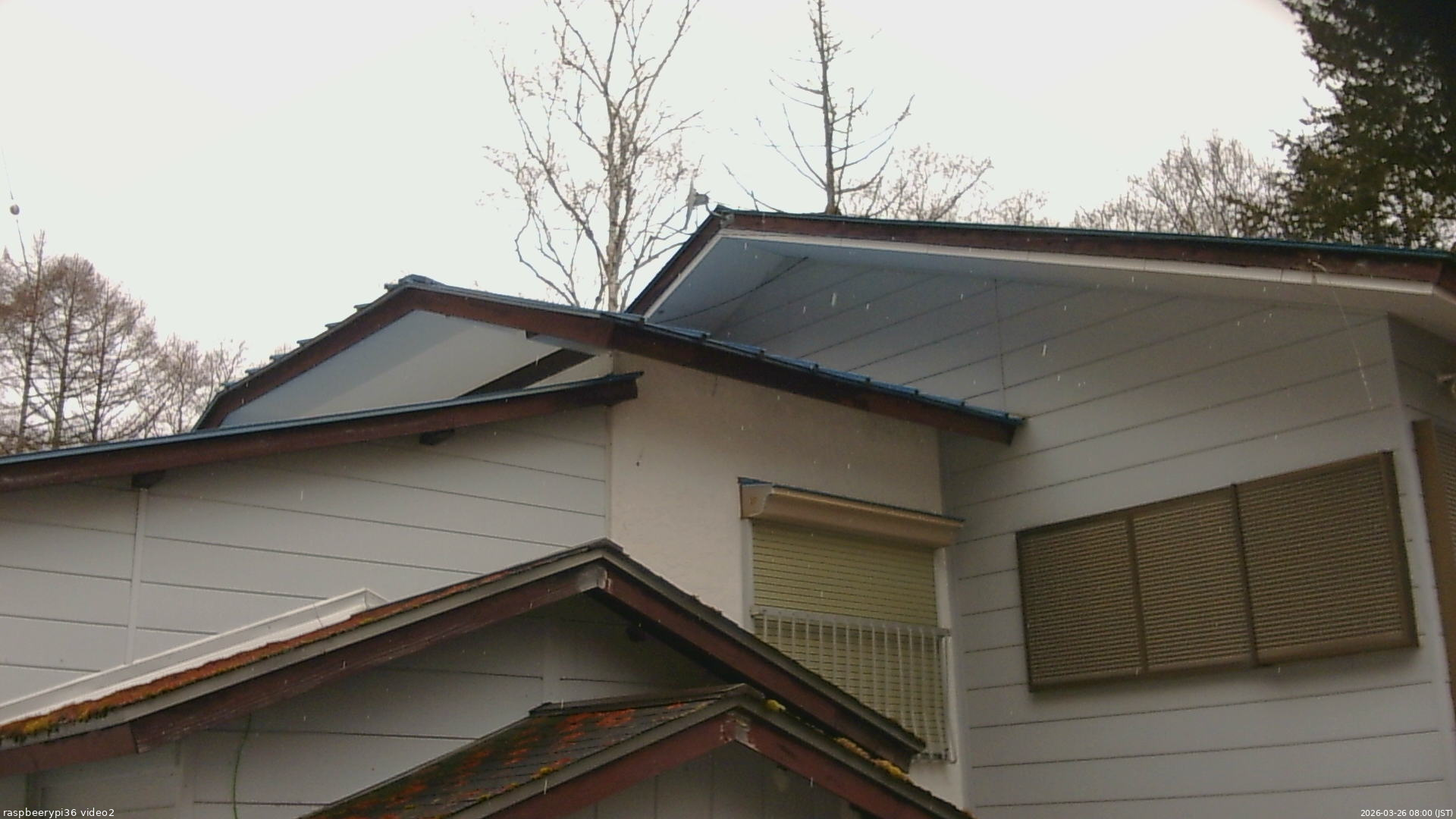 長野県菅平高原 ゆたか山荘 駐車場奥 2026/03/26 08:00