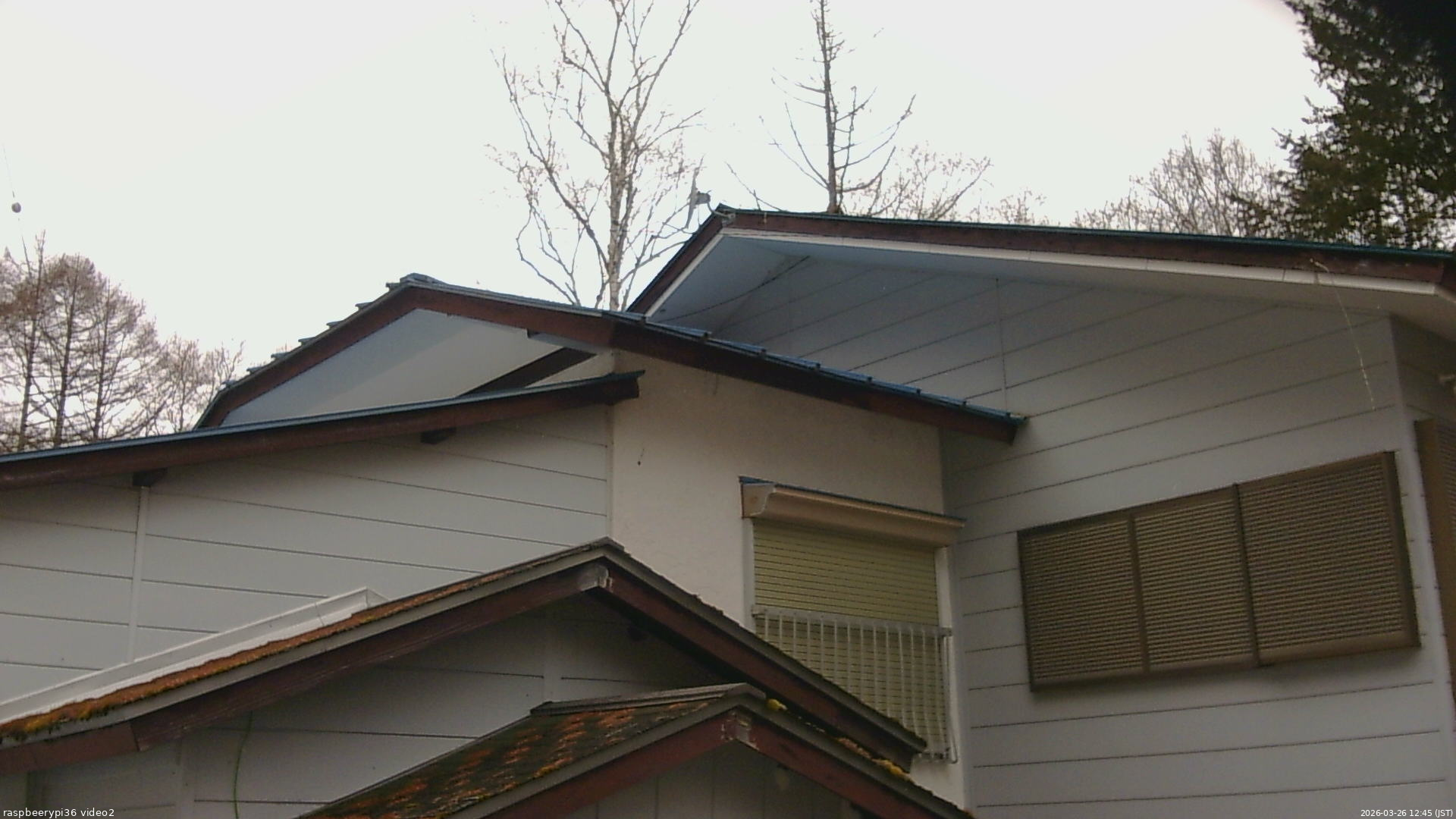 長野県菅平高原 ゆたか山荘 駐車場奥 2026/03/26 12:45