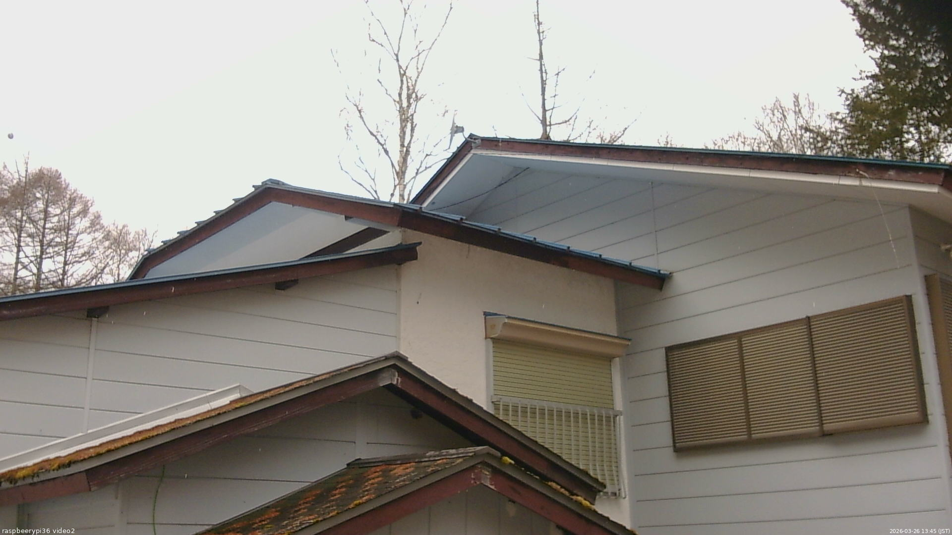 長野県菅平高原 ゆたか山荘 駐車場奥 2026/03/26 13:45