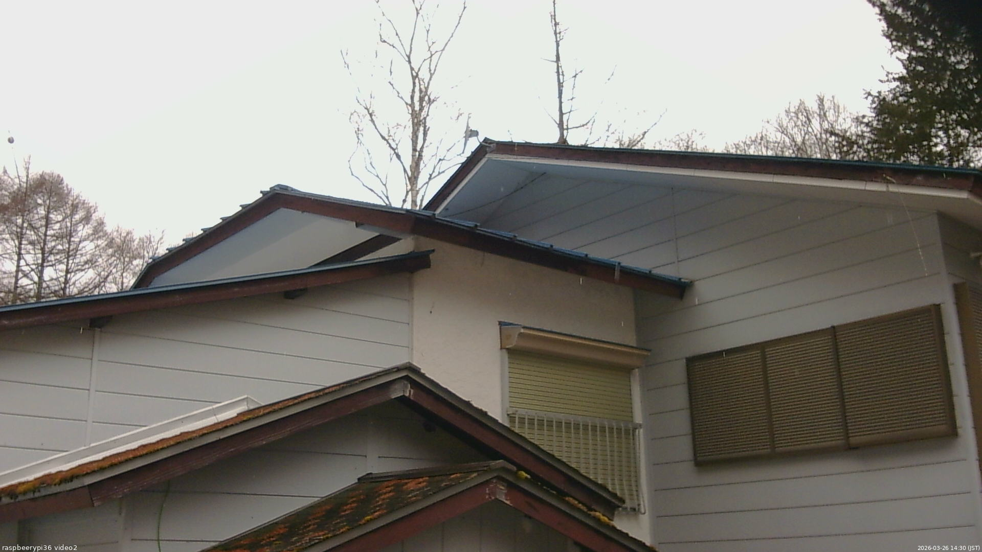 長野県菅平高原 ゆたか山荘 駐車場奥 2026/03/26 14:30