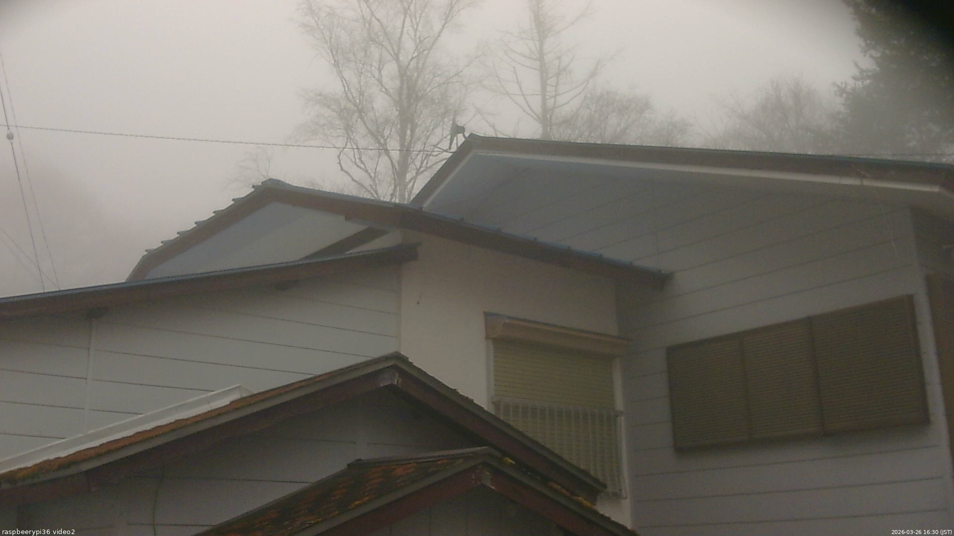 長野県菅平高原 ゆたか山荘 駐車場奥 2026/03/26 16:30