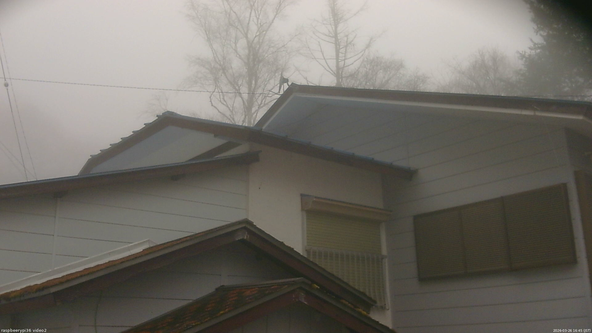 長野県菅平高原 ゆたか山荘 駐車場奥 2026/03/26 16:45