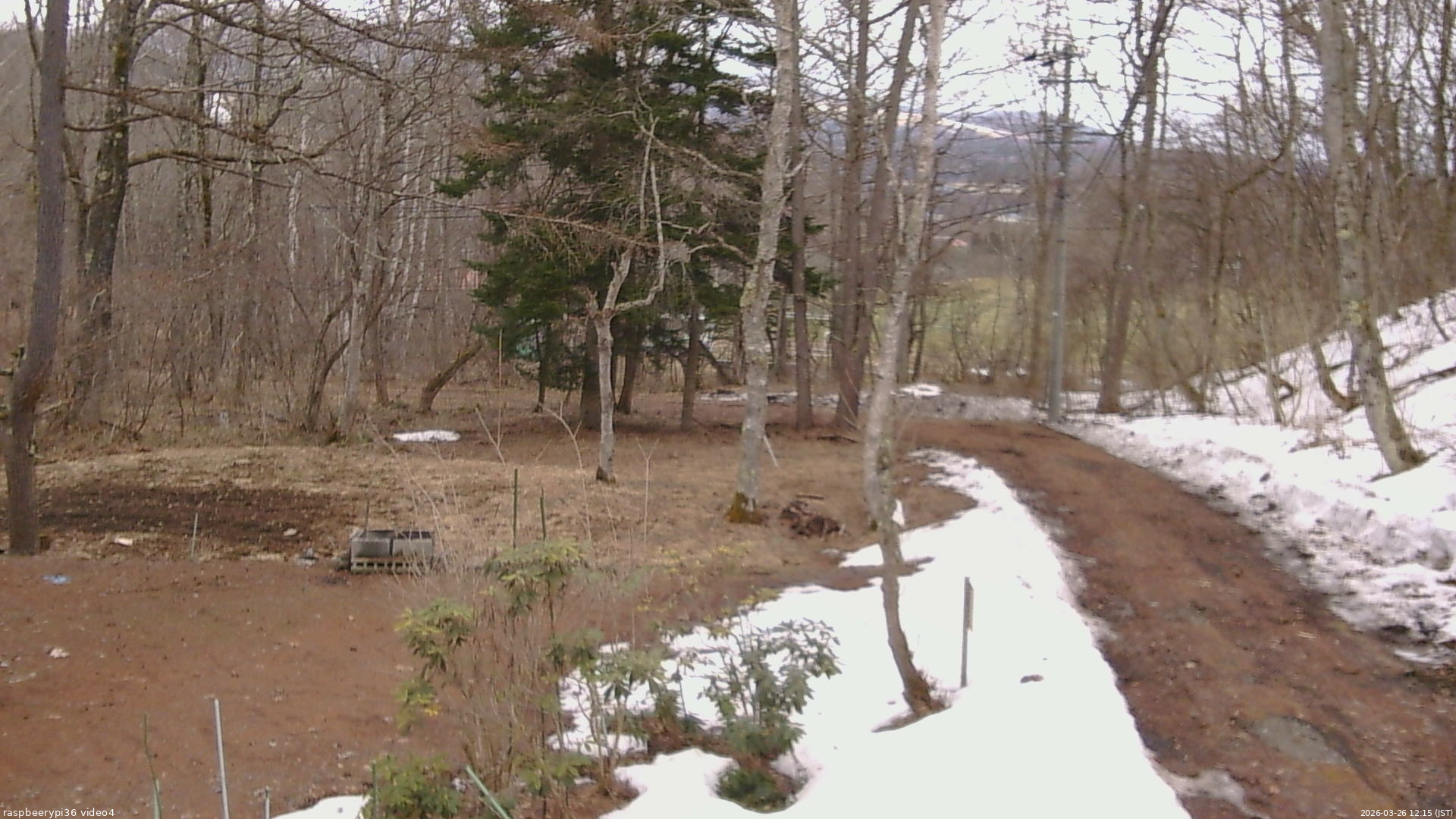 長野県菅平高原 ゆたか山荘 坂上 2026/03/26 12:15