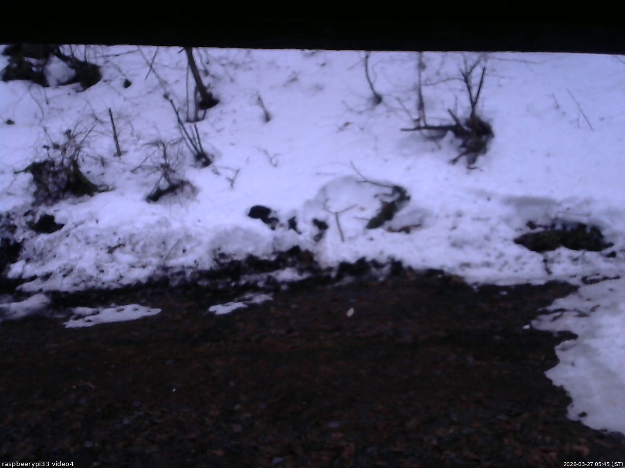 長野県菅平高原 ゆたか山荘 東側(坂下) 2026/03/27 05:45