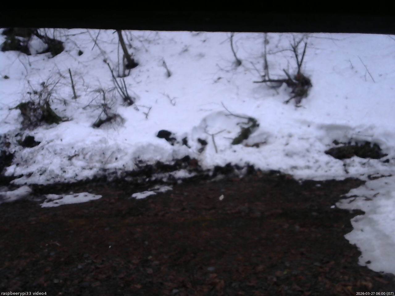 長野県菅平高原 ゆたか山荘 東側(坂下) 2026/03/27 06:00
