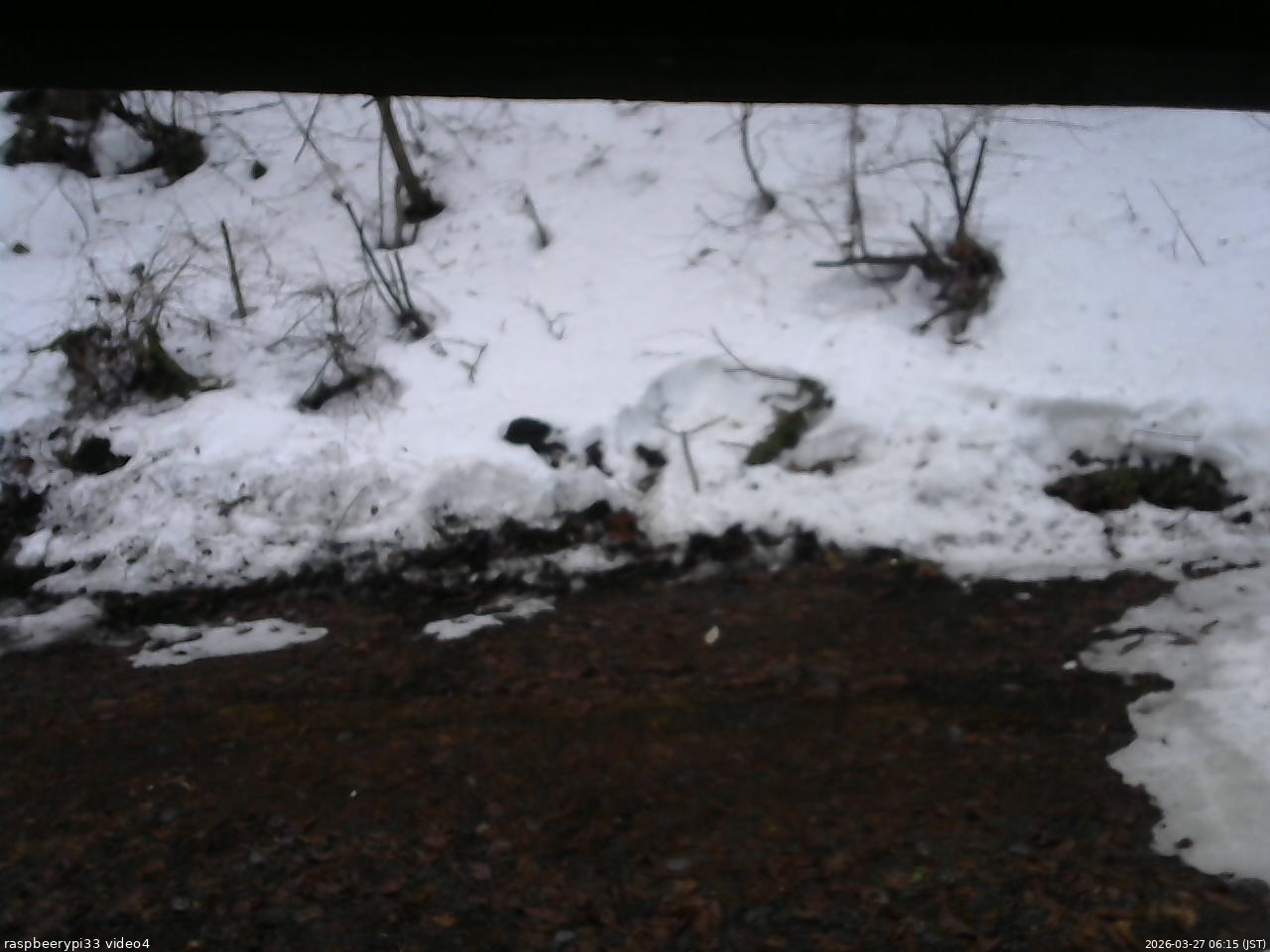 長野県菅平高原 ゆたか山荘 東側(坂下) 2026/03/27 06:15