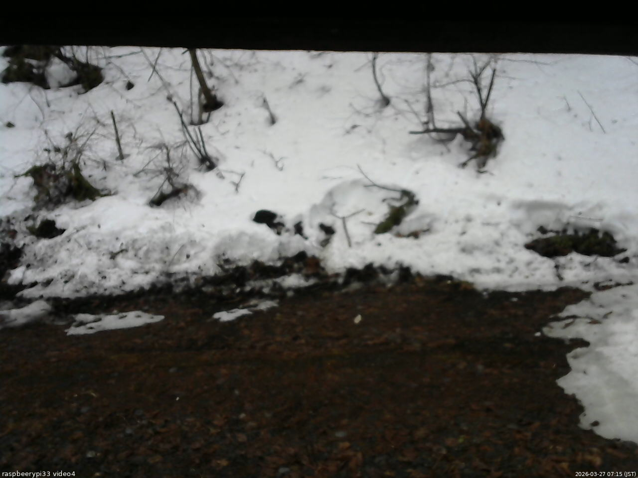 長野県菅平高原 ゆたか山荘 東側(坂下) 2026/03/27 07:15