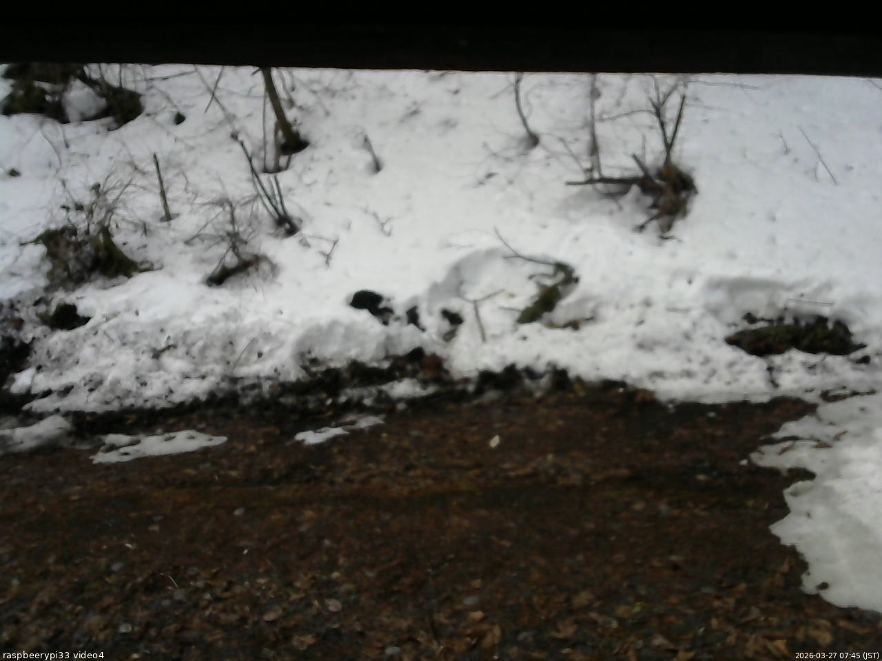 長野県菅平高原 ゆたか山荘 東側(坂下) 2026/03/27 07:45