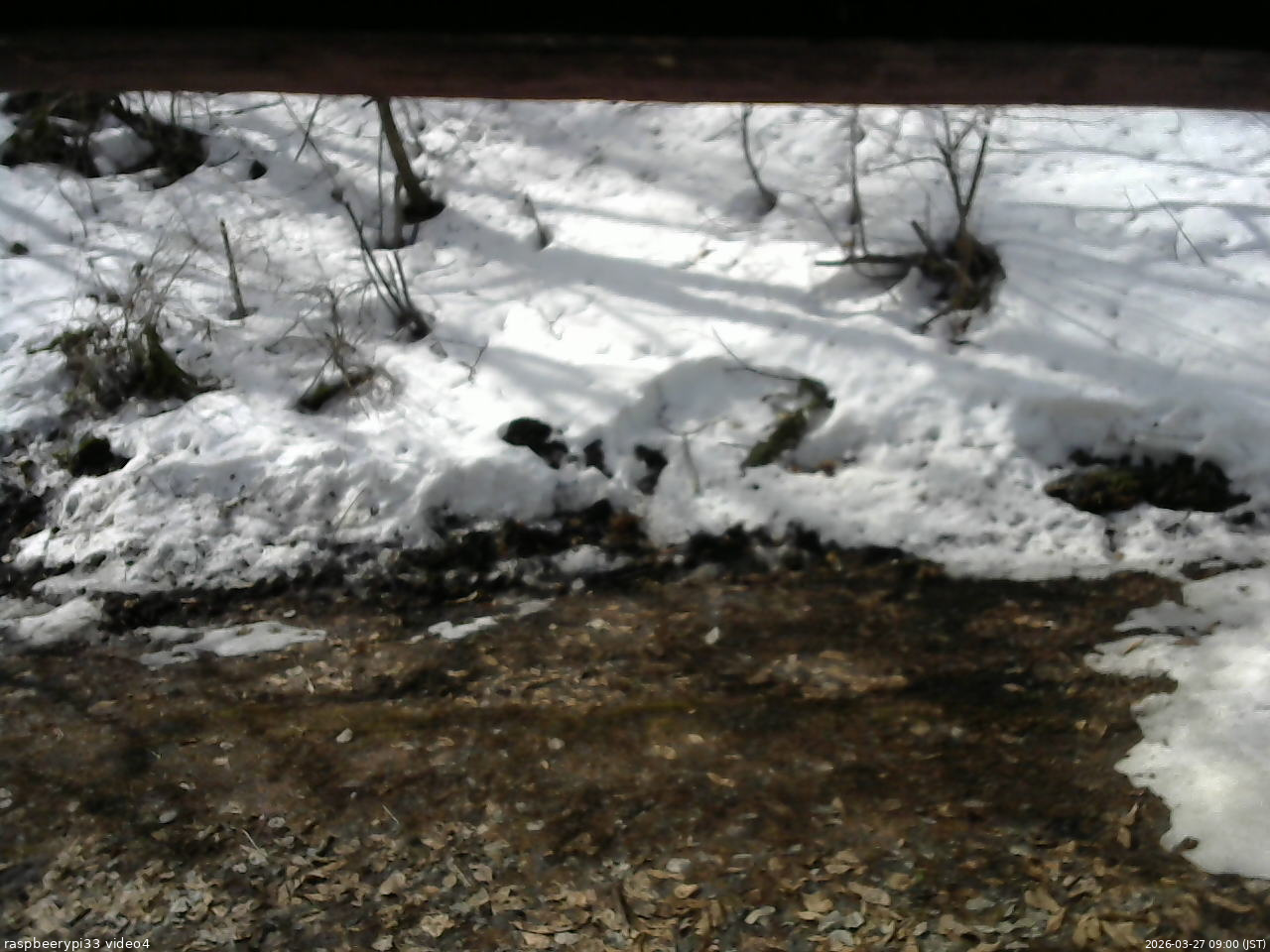 長野県菅平高原 ゆたか山荘 東側(坂下) 2026/03/27 09:00