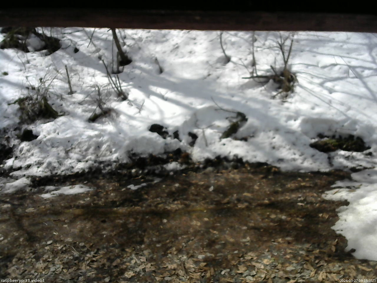 長野県菅平高原 ゆたか山荘 東側(坂下) 2026/03/27 09:15