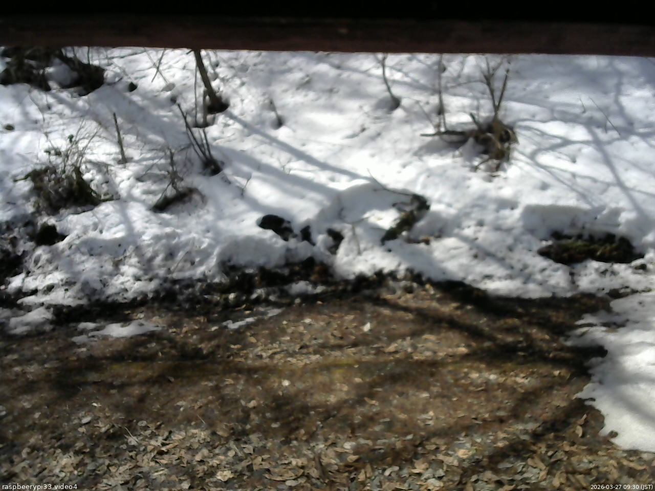 長野県菅平高原 ゆたか山荘 東側(坂下) 2026/03/27 09:30