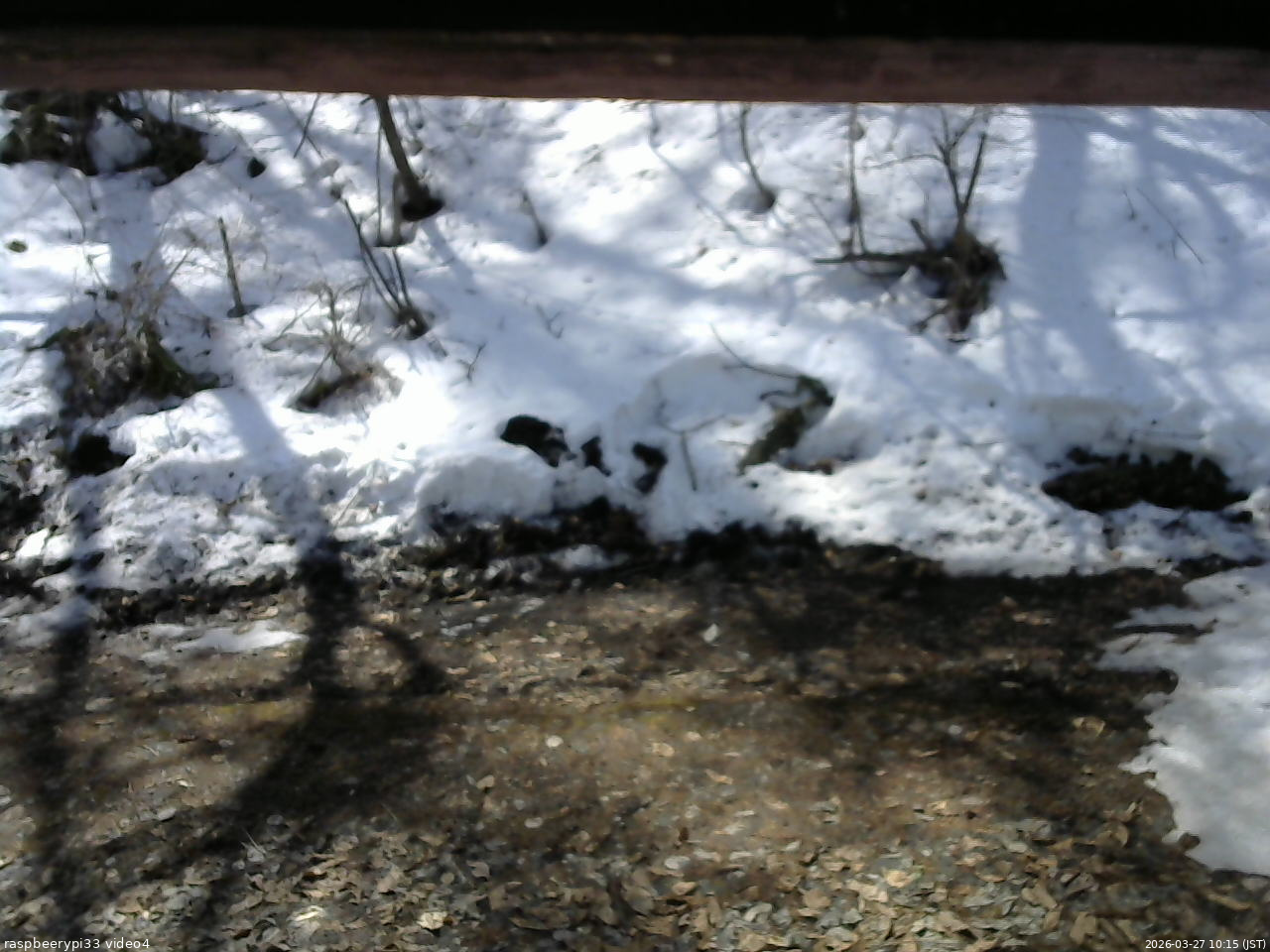 長野県菅平高原 ゆたか山荘 東側(坂下) 2026/03/27 10:15