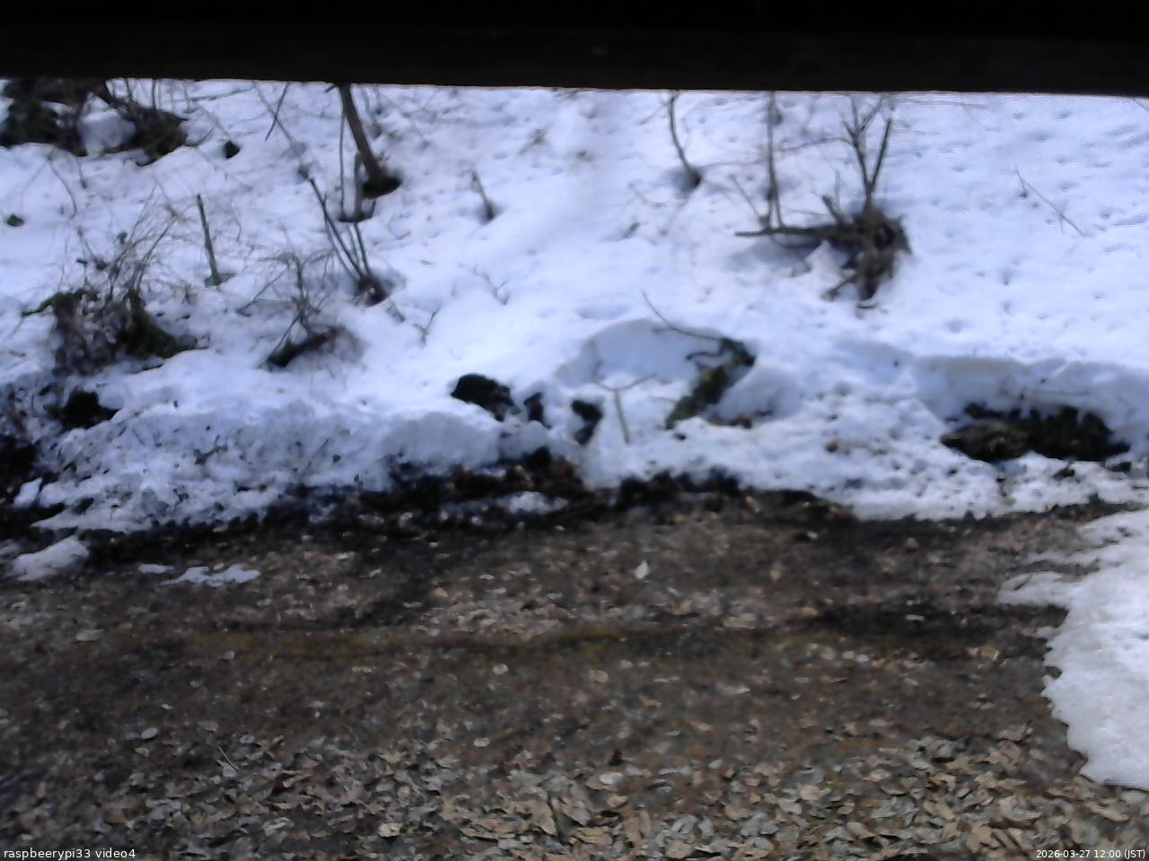 長野県菅平高原 ゆたか山荘 東側(坂下) 2026/03/27 12:00