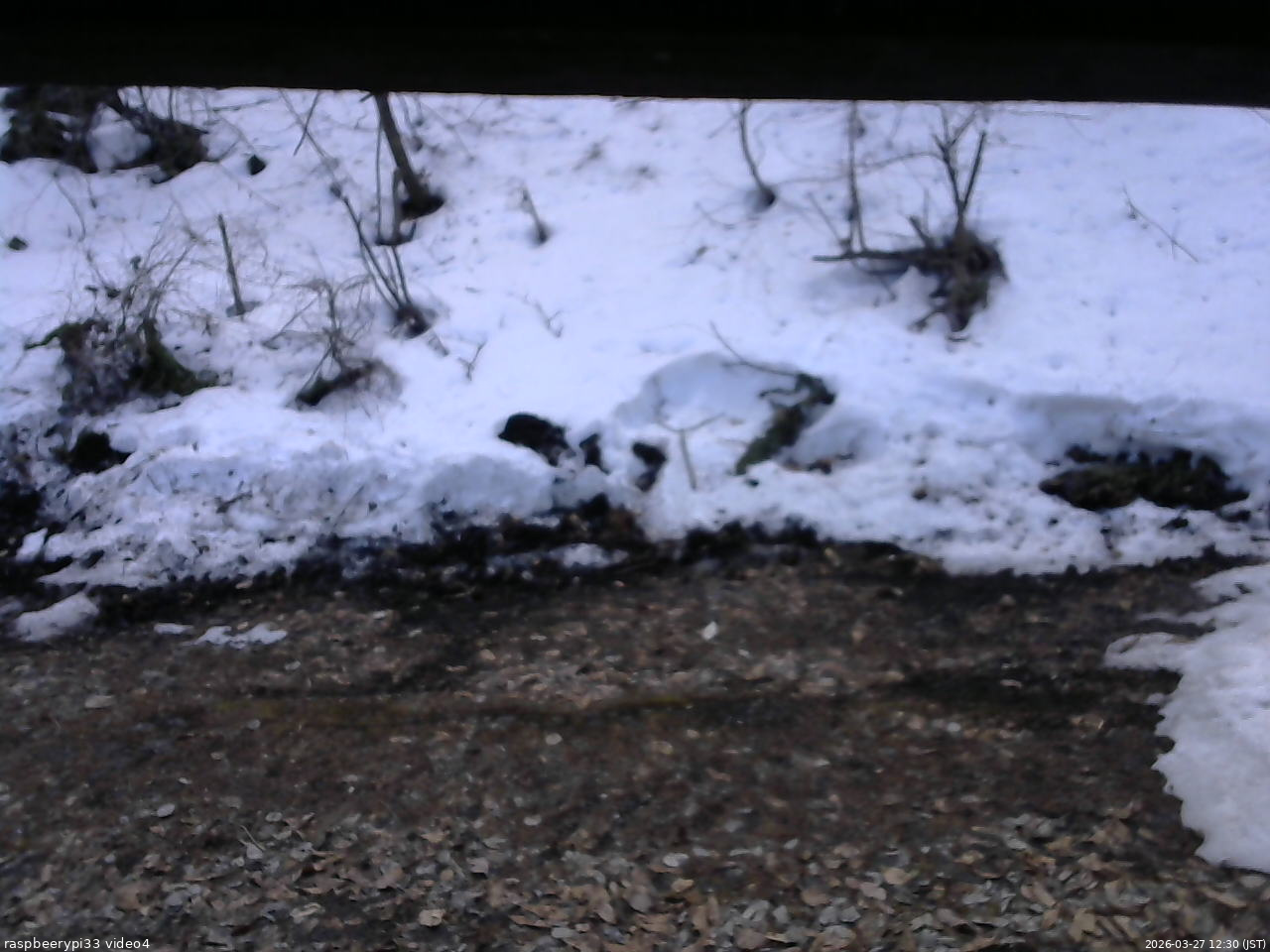 長野県菅平高原 ゆたか山荘 東側(坂下) 2026/03/27 12:30