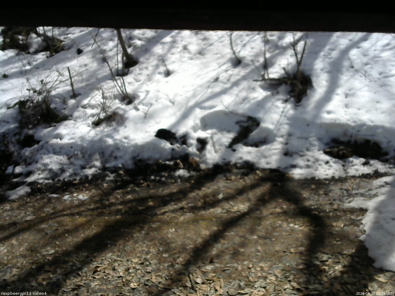 長野県菅平高原 ゆたか山荘 東側(坂下) 2026/03/27 13:15
