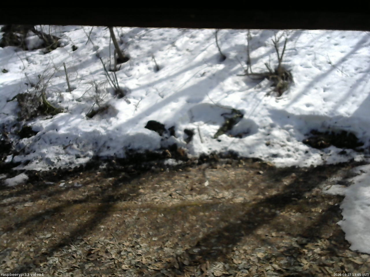 長野県菅平高原 ゆたか山荘 東側(坂下) 2026/03/27 13:45