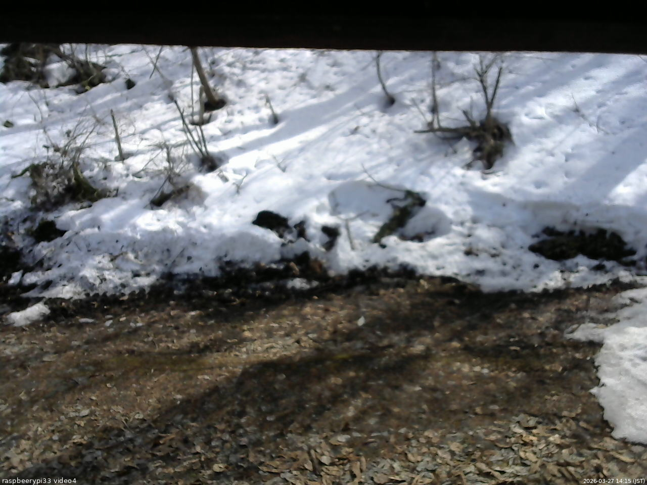 長野県菅平高原 ゆたか山荘 東側(坂下) 2026/03/27 14:15