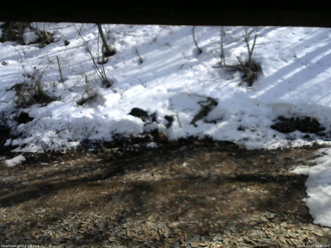 長野県菅平高原 ゆたか山荘 東側(坂下) 2026/03/27 14:45