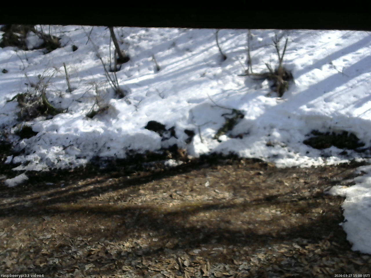 長野県菅平高原 ゆたか山荘 東側(坂下) 2026/03/27 15:00