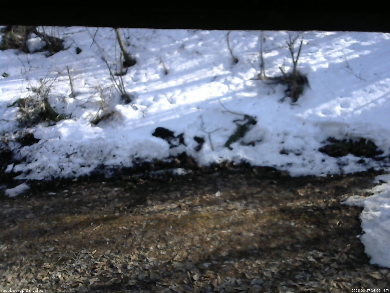 長野県菅平高原 ゆたか山荘 東側(坂下) 2026/03/27 16:00