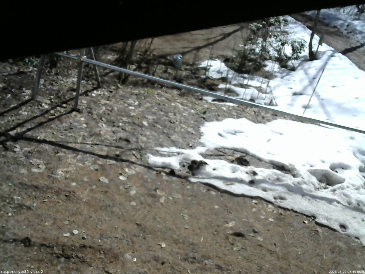 長野県菅平高原 ゆたか山荘 駐車場 2026/03/27 08:45