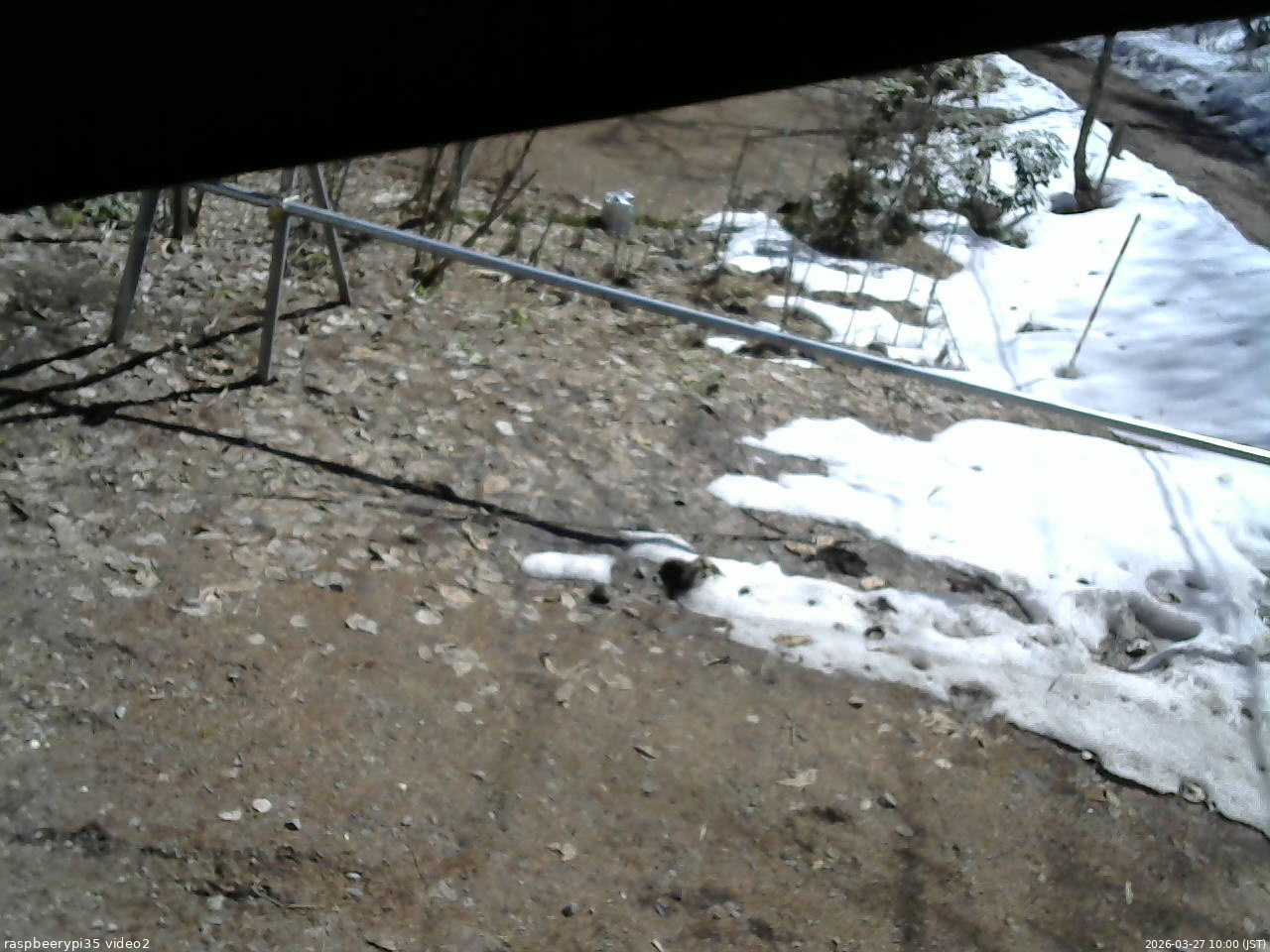 長野県菅平高原 ゆたか山荘 駐車場 2026/03/27 10:00