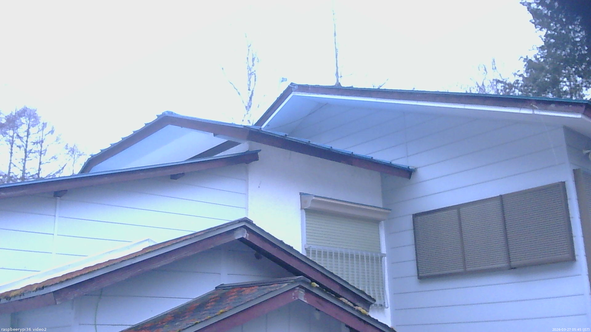 長野県菅平高原 ゆたか山荘 駐車場奥 2026/03/27 05:45
