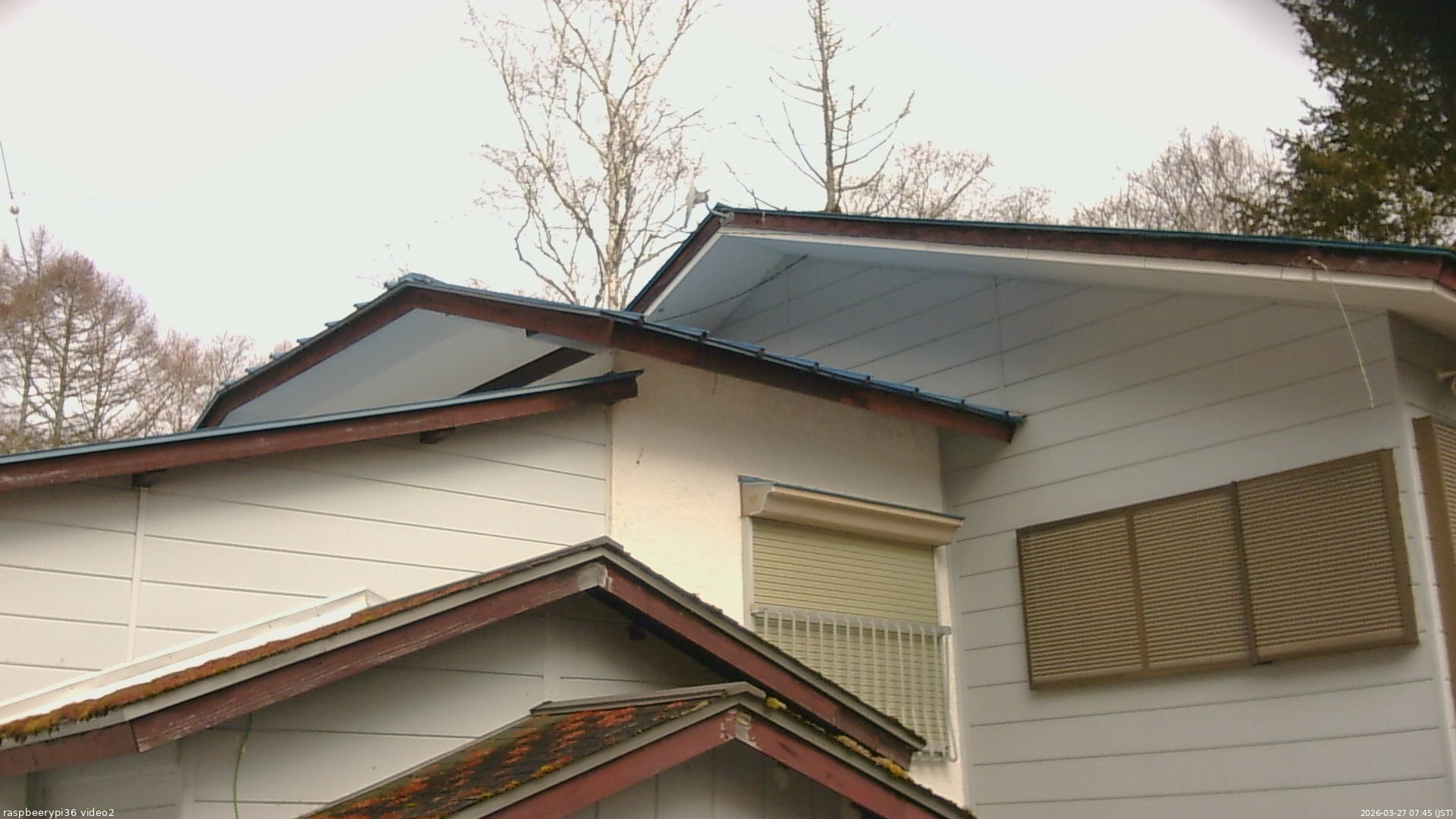 長野県菅平高原 ゆたか山荘 駐車場奥 2026/03/27 07:45