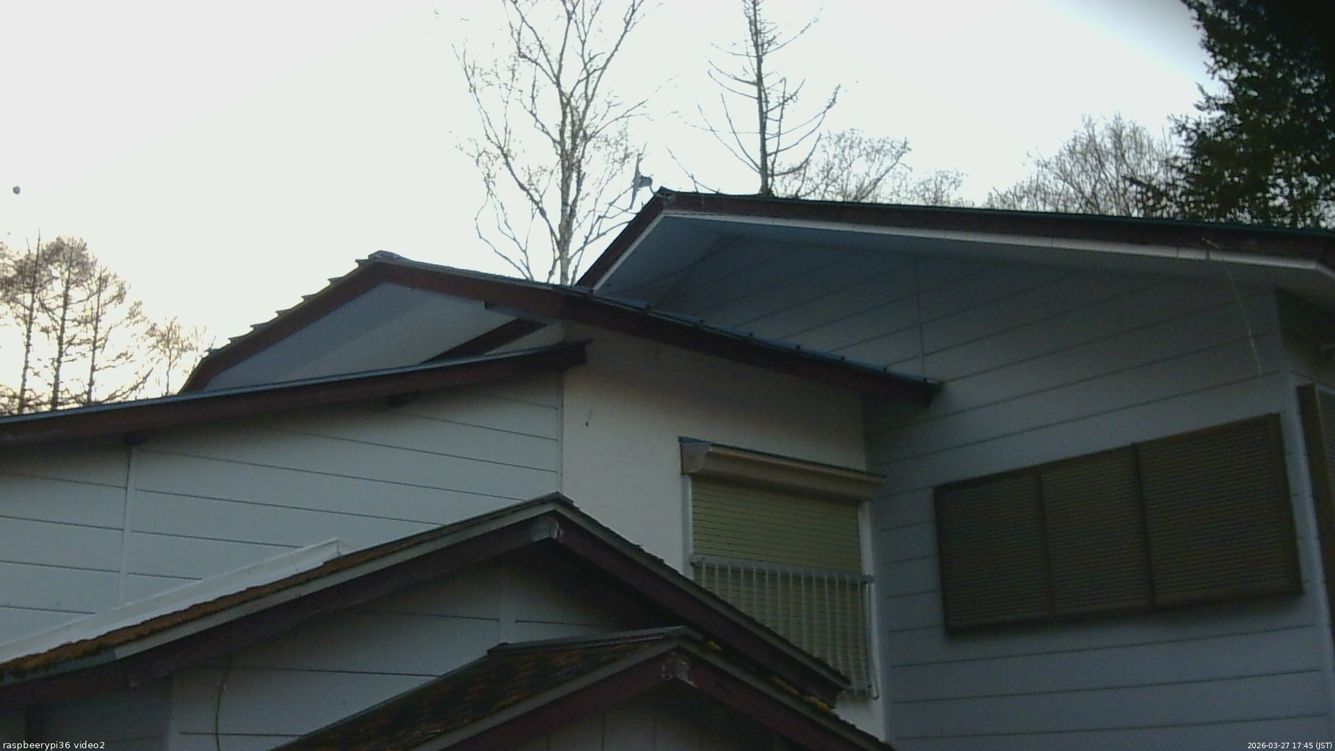 長野県菅平高原 ゆたか山荘 駐車場奥 2026/03/27 17:45